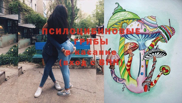 мет Алексин