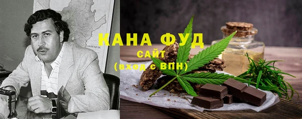 мет Алексин