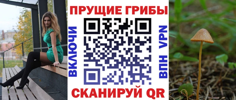 хочу   Крымск  Псилоцибиновые грибы Psilocybe 
