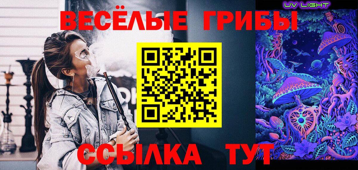 Псилоцибиновые грибы Psilocybe Крымск