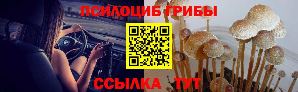 Галлюциногенные грибы ЛСД  Галлюциногенные грибы Magic Shrooms  Вход с VPN  Крымск 